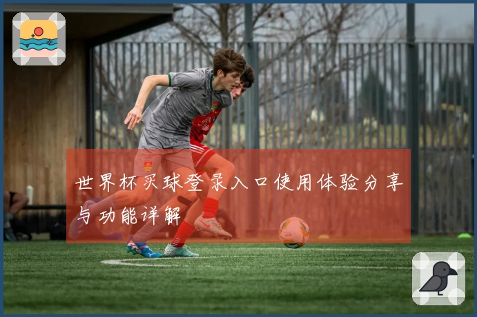 世界杯买球登录入口使用体验分享与功能详解
