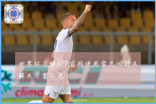 世界杯买球APP官网使用常见问题及解决方案汇总