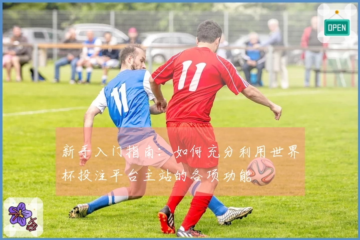 新手入门指南：如何充分利用世界杯投注平台主站的各项功能