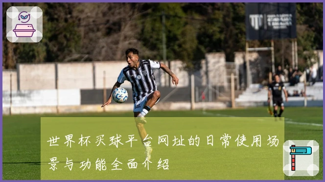 世界杯买球平台网址的日常使用场景与功能全面介绍