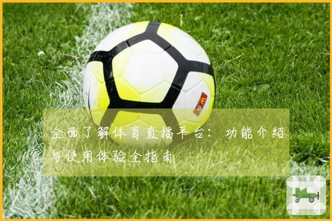 全面了解体育直播平台:功能介绍与使用体验全指南