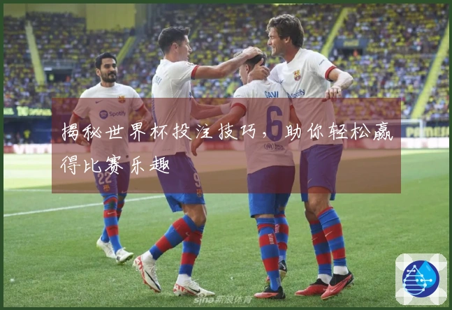 揭秘世界杯投注技巧，助你轻松赢得比赛乐趣