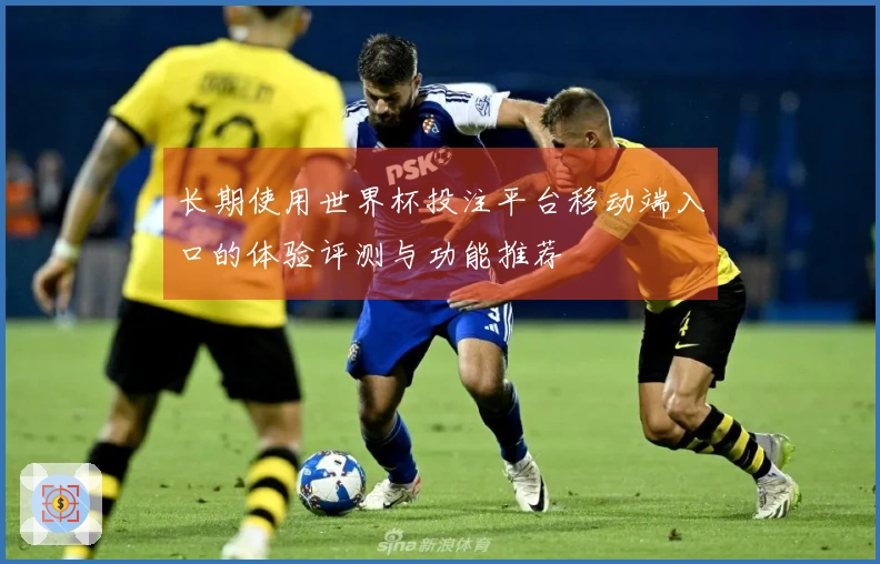 长期使用世界杯投注平台移动端入口的体验评测与功能推荐