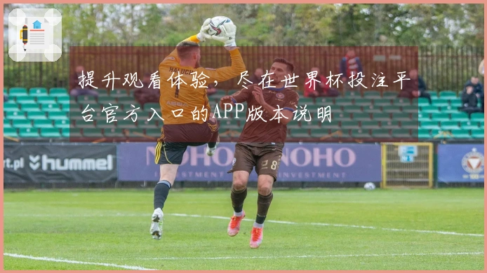 提升观看体验，尽在世界杯投注平台官方入口的APP版本说明
